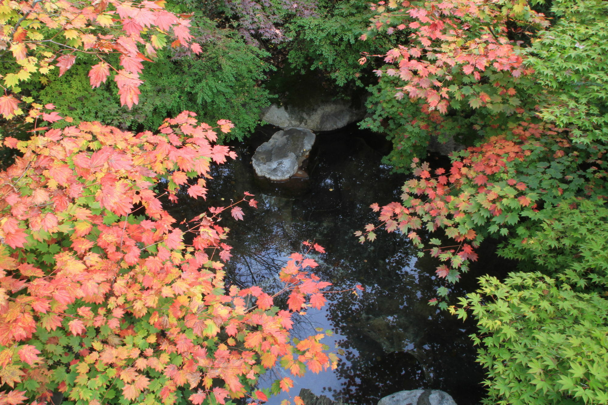 ホテル 湯元 長座 高山市 エクステリア 写真